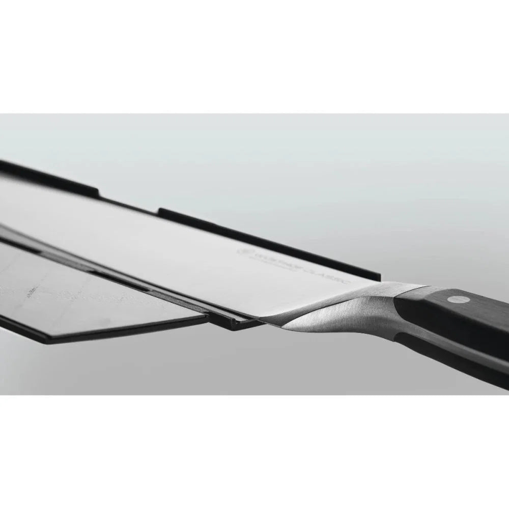 10" Magnetic Blade Guard