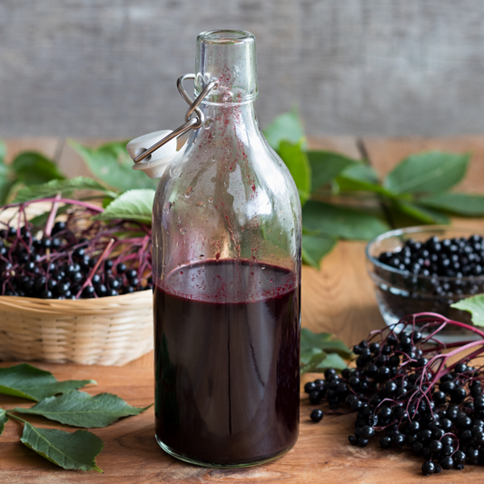 Wild Juneberry Syrup