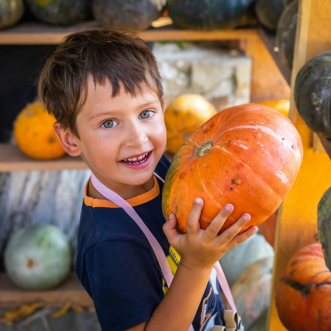 Kids Pumpkin Palooza! Ages 5-12 Saturday, November 15th, 12-2PM