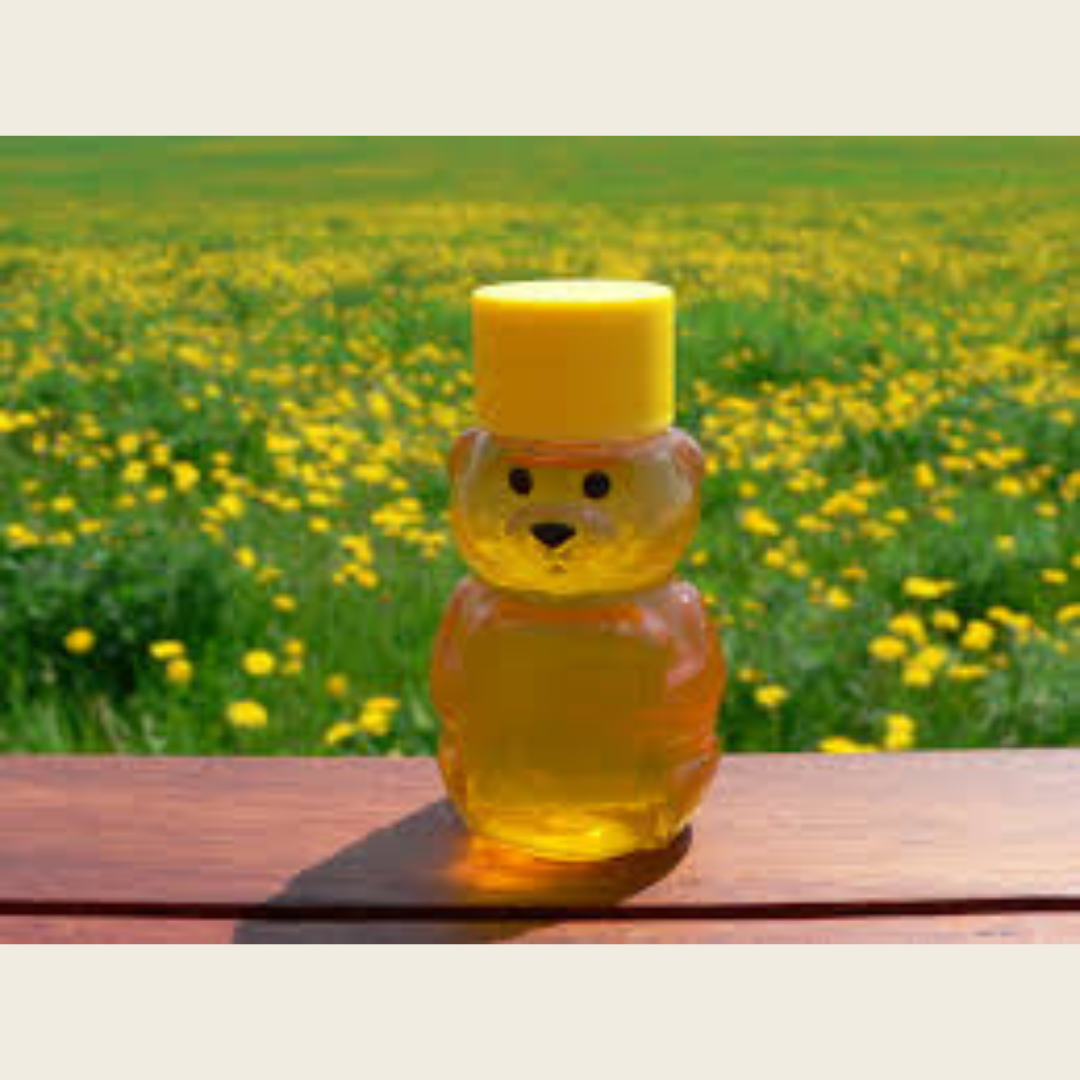 Baby Honey Bear