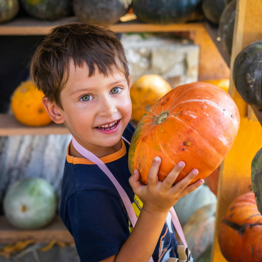 Kids Pumpkin Palooza! Ages 5-12 Saturday, November 15th, 12-2PM
