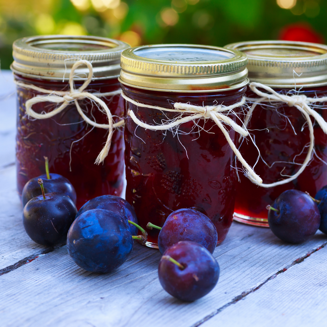 Wild Plum Jelly