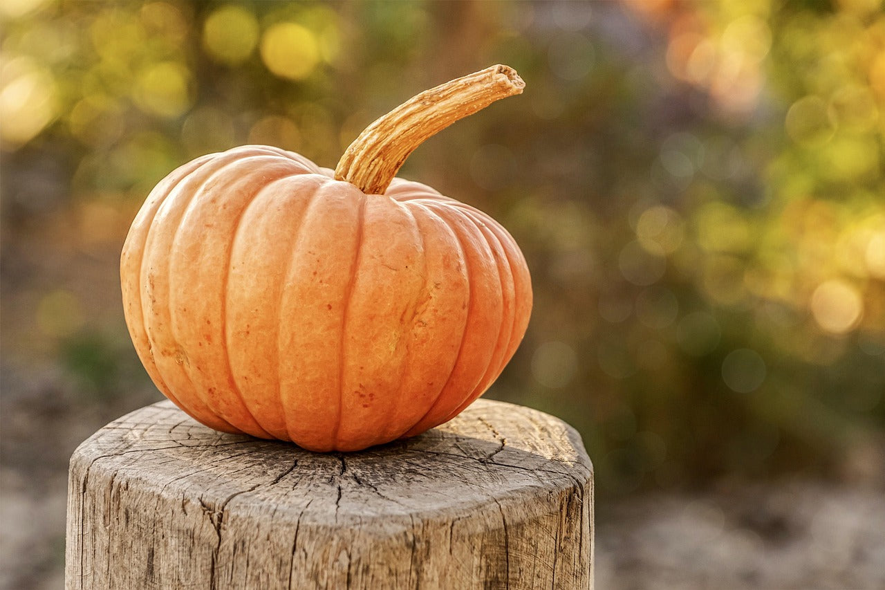 Pumpkin Patch Ladies Night! October 15th, 6-8PM