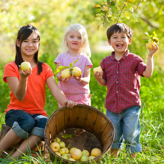 Kids Apple Orchard Adventure! Saturday, Sept. 19th, 12-2pm