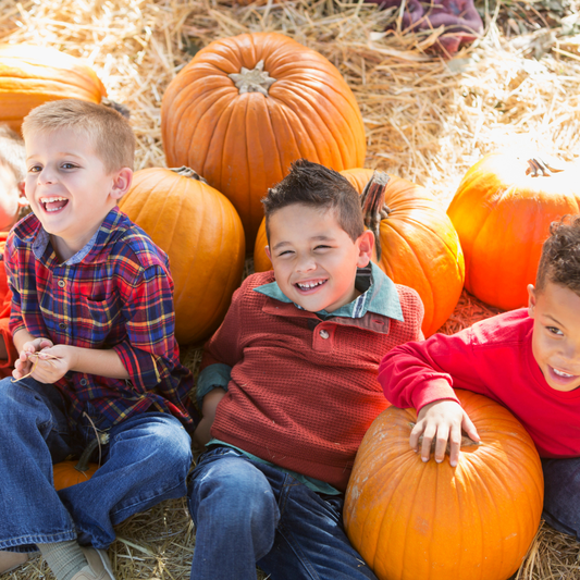 Kids Pumpkin Patch Favorites! Saturday, Oct. 10th, 12-2PM